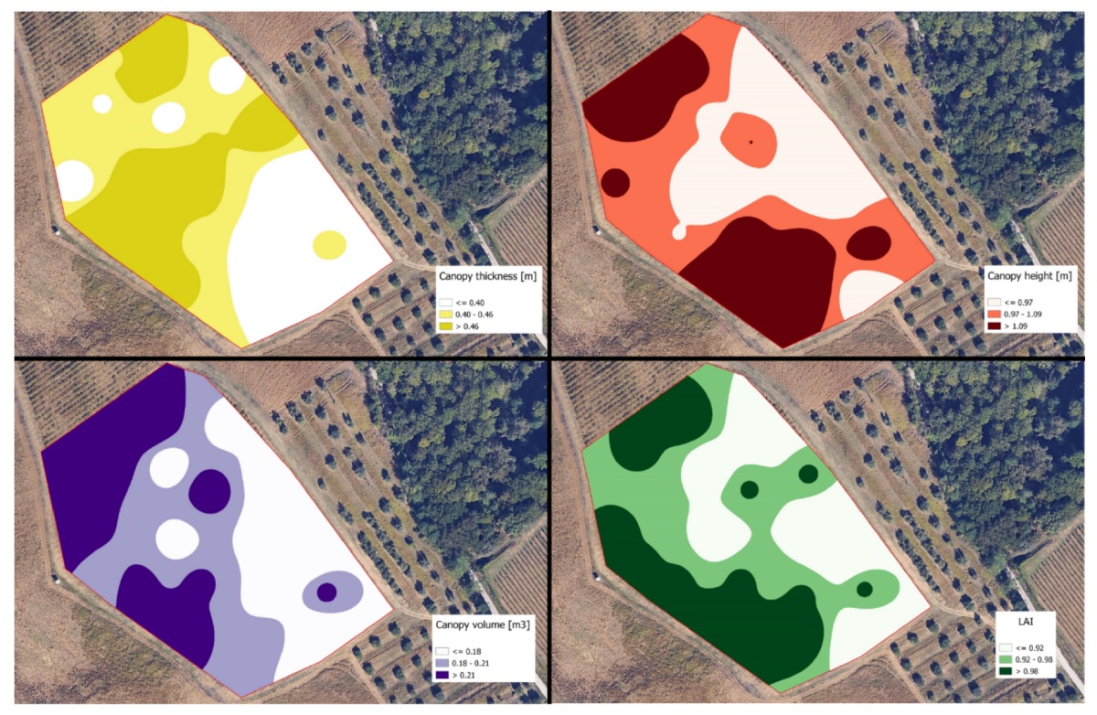 Mappe di spessore, altezza, volume della chioma e Lai generate dall'app iAgro, giugno 2024